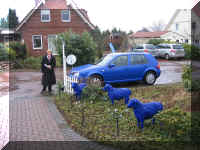 2009-03-08 14-22-13_0001.jpg (164335 Byte)