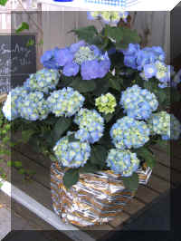 2012-07-19 18-32-44.jpg (131320 Byte)