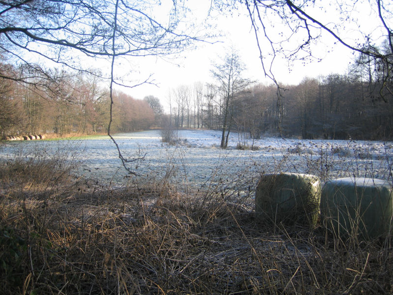 So schön ist der Frost im Moor